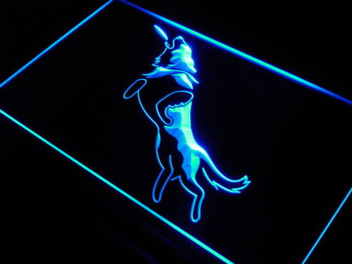 Disc Dog Pet Shop Home Decor Neon Light Sign